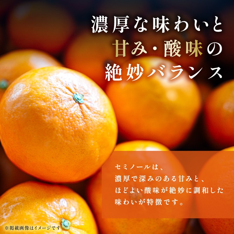 【2027年発送 先行予約品】