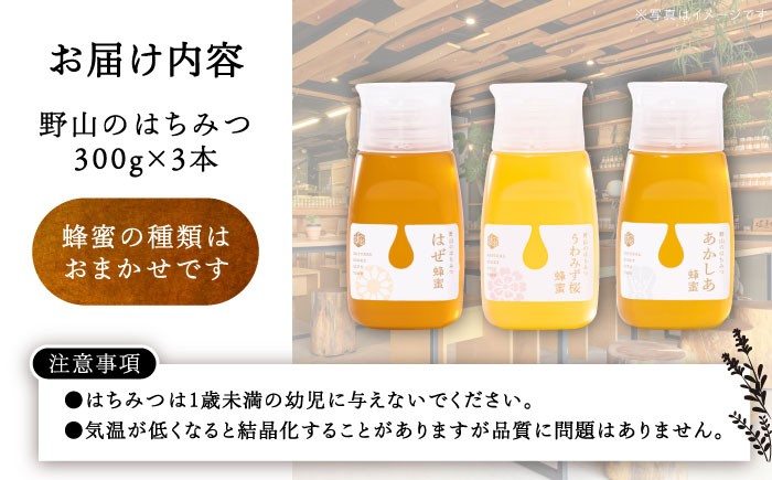はちみつ ハチミツ 蜂蜜 セット 料理 スイーツ ギフト ヨーグルト トースト 贈答 ギフト おすすめ 人気 岐阜県 恵那市