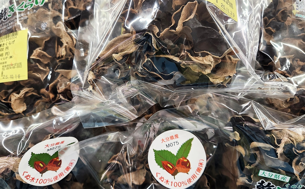 くぬぎで育てた乾きくらげ