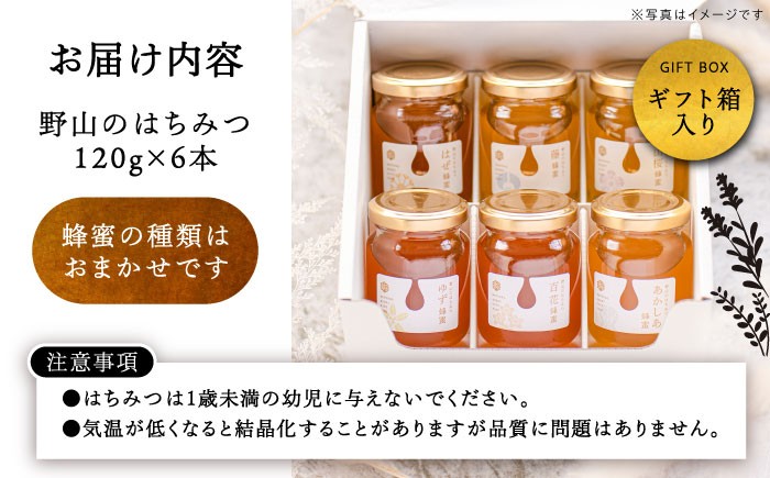 はちみつ ハチミツ 蜂蜜 セット 料理 スイーツ ギフト ヨーグルト トースト 贈答 ギフト おすすめ 人気 岐阜県 恵那市