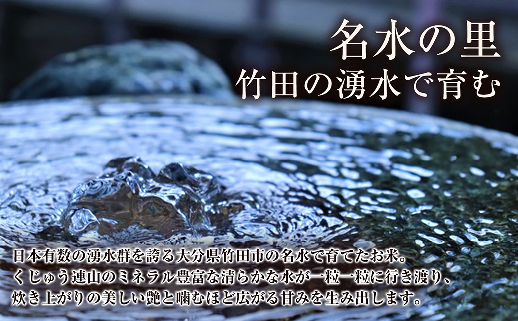 コシヒカリ×つや姫 2種米セット