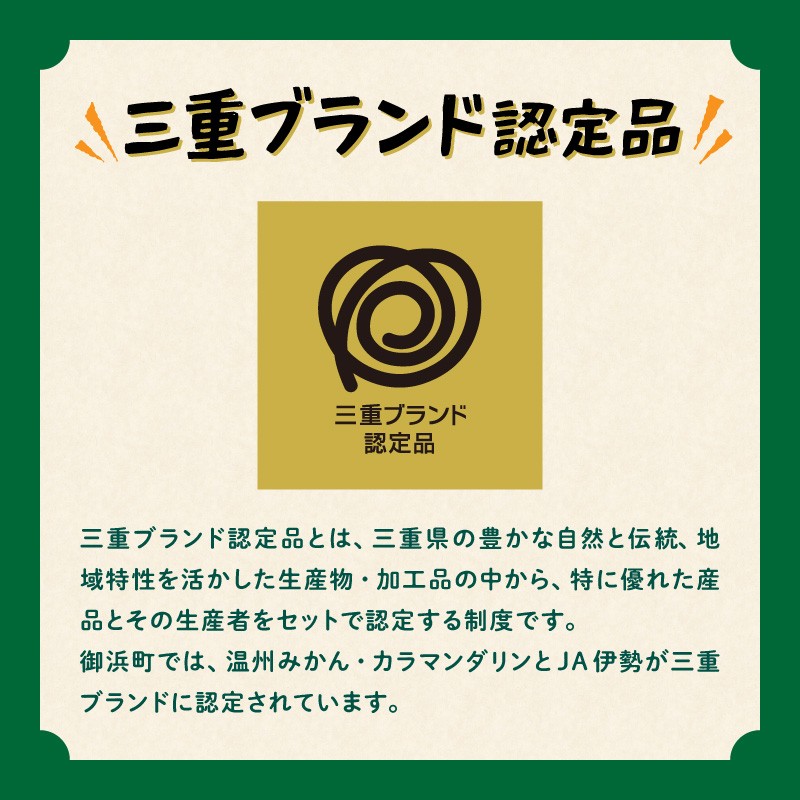 【2027年発送 先行予約品】