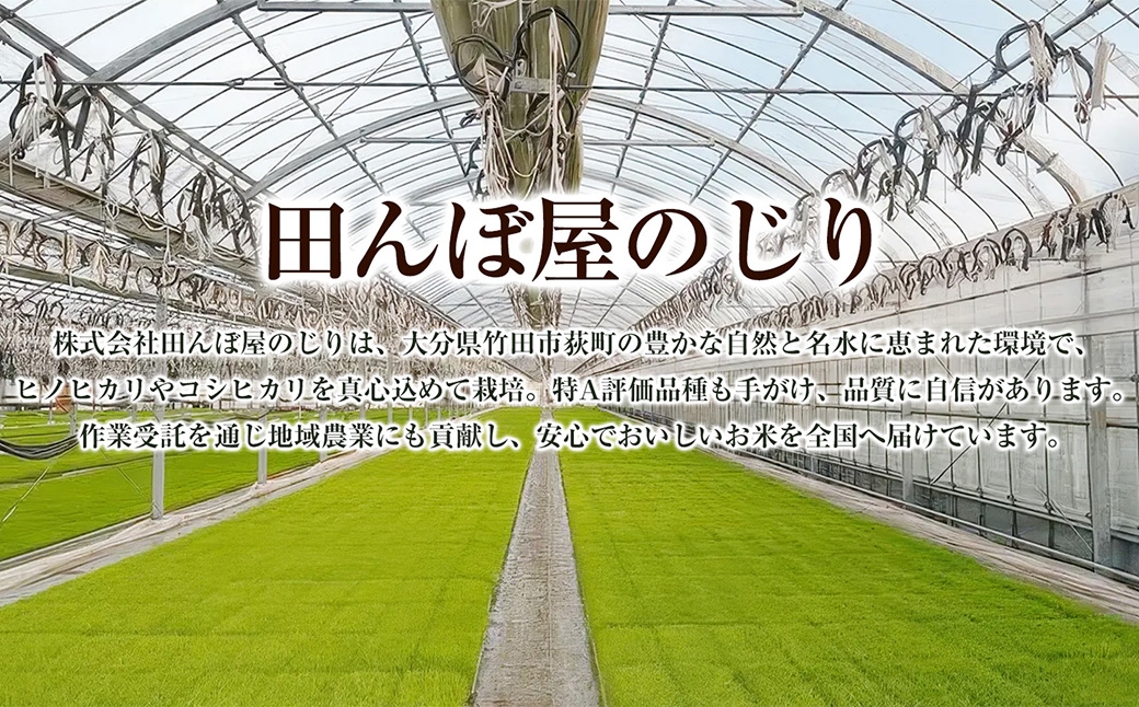 厳選国産米 2種セット