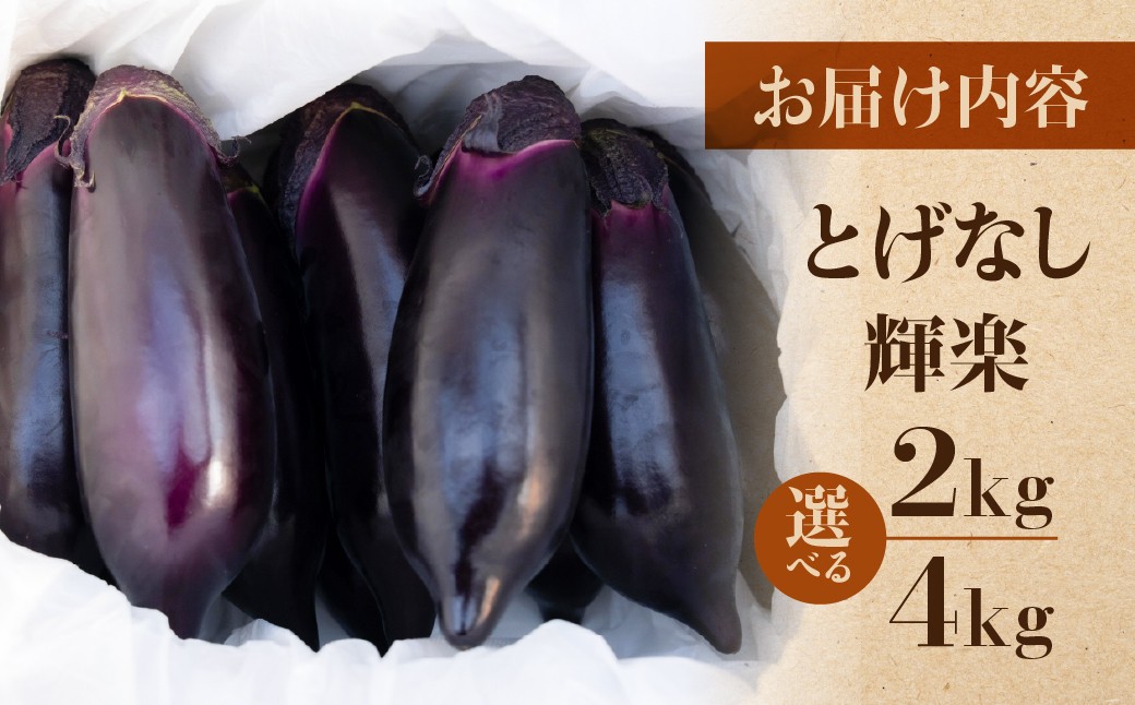 甘味の詰まった、つやつや輝くなす