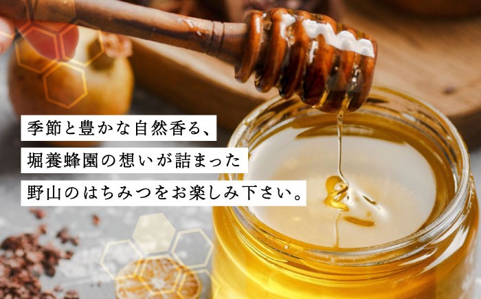 はちみつ ハチミツ 蜂蜜 セット 料理 スイーツ ギフト ヨーグルト トースト 贈答 ギフト おすすめ 人気 岐阜県 恵那市