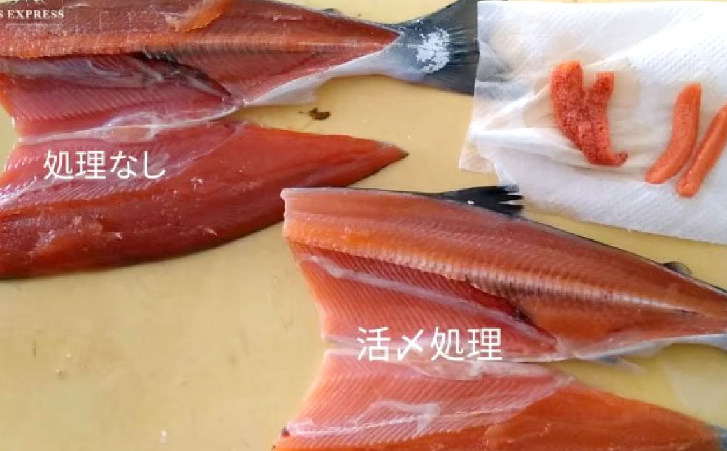 北海道産 船上活〆鮮魚詰め合わせ約3kg