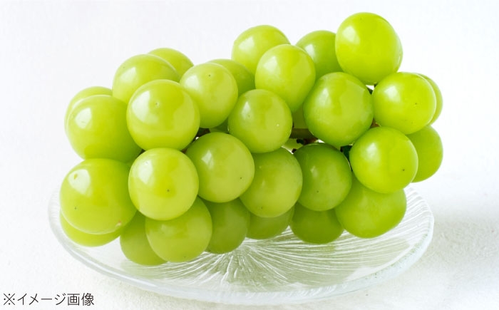 シャインマスカット しゃいんますかっと シャイン マスカット ますかっと Shine Muscat 2房 葡萄 ブドウ ぶどう