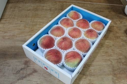 ●ご注意●
・画像はイメージです。
・梱包形態や仕様は予告なく変更する場合がございます。
予めご了承ください。