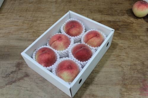 ●ご注意●
・画像はイメージです。
・梱包形態や仕様は予告なく変更する場合がございます。
予めご了承ください。