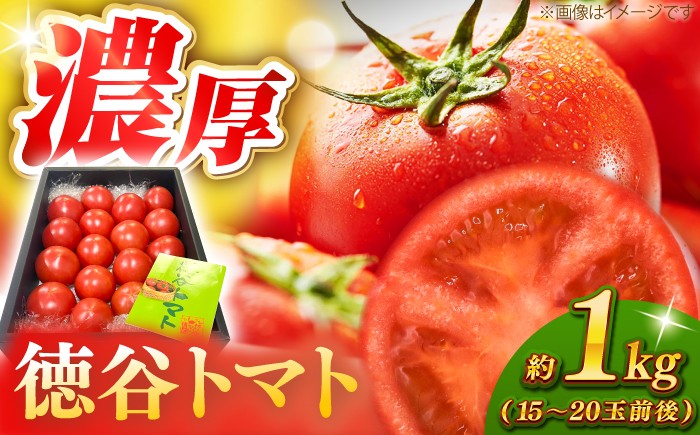 濃厚!徳谷トマト約1.0kg 箱詰 生産者指定なし 厳選上級品 〈2025年1月～発送〉 [ATAC322]