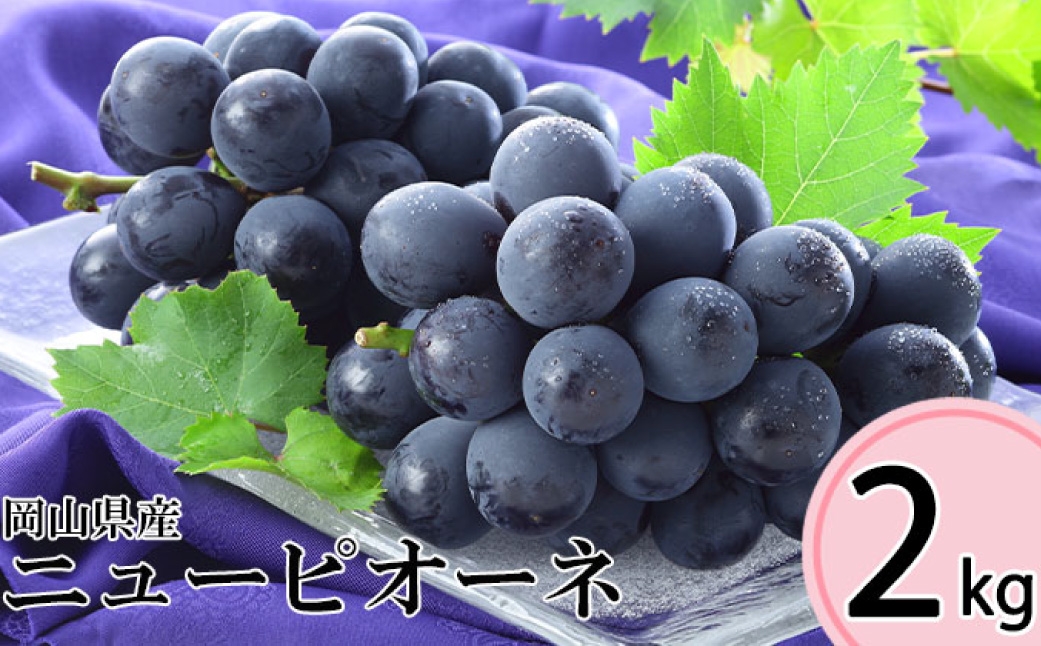岡山県産ニューピオーネ 約2kg（3～6房）