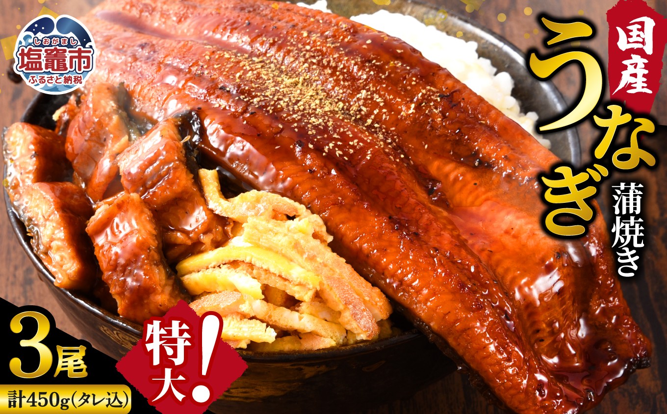 ふっくら肉厚！国産うなぎ蒲焼き 3尾セット (計450g) うなぎ 蒲焼き 国産うなぎ 鰻 土用の丑の日 冷凍うなぎ 真空パック