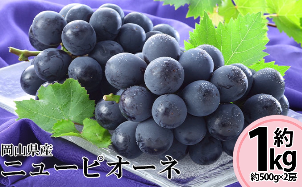 岡山県産ニューピオーネ 約500g×2房 計約1kg