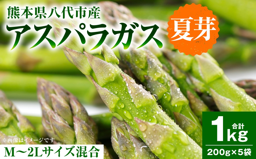 アスパラガス1kg（M～2Lサイズ混合）