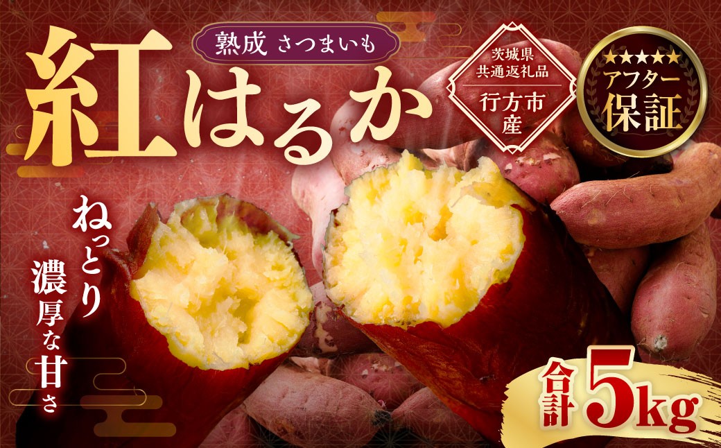 “熟成” 茨城県産 さつまいも 【 紅はるか 】 約5kg 