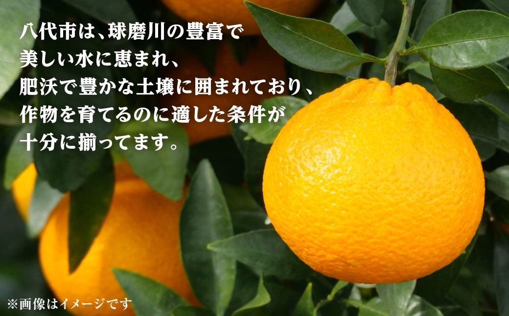 八代市は、作物を育てるのに適した条件が十分に揃ってます