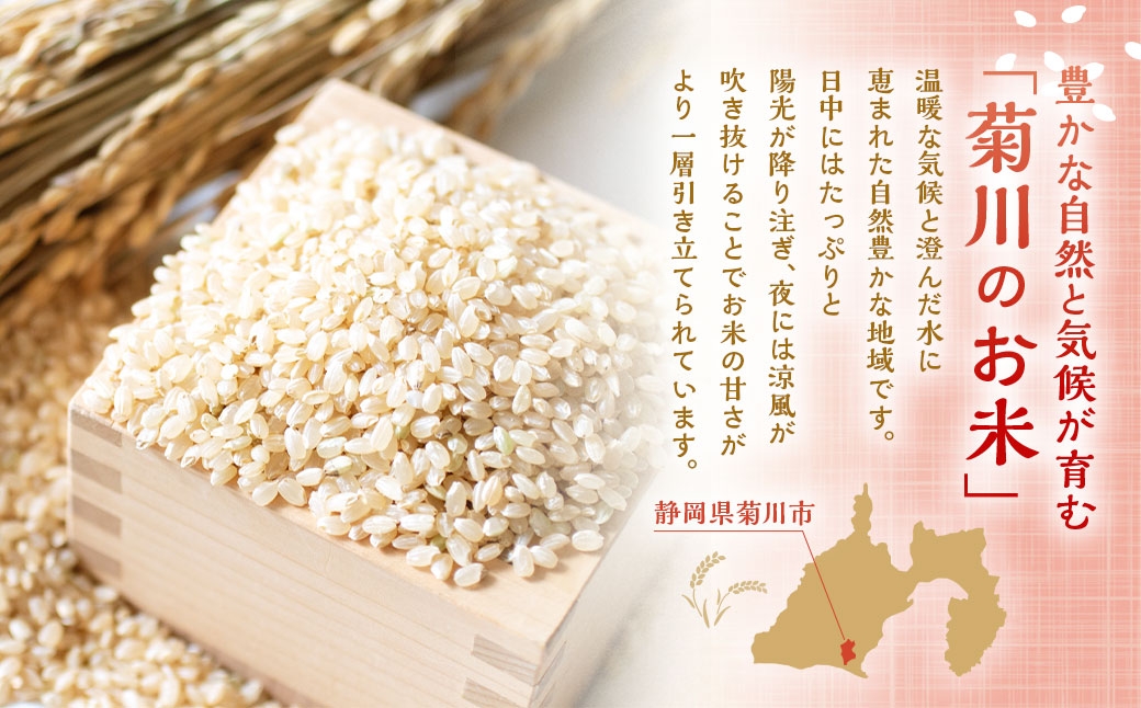 静岡県産コシヒカリ玄米10kg（5kg×2袋）