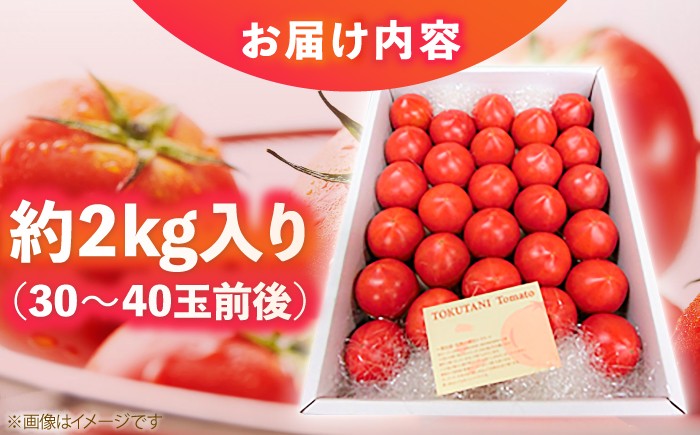 濃厚!徳谷トマト約2.0kg 箱詰 生産者指定なし 厳選上級品 元木青果 〈2025年1月～発送〉[ATAC323]