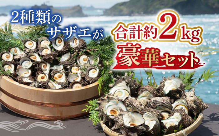 人気 魚介 ごはんのお供 朝食 昼食 夕食 夜食 セット 朝食 昼食 夕食