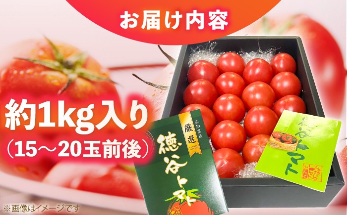 濃厚!徳谷トマト約1.0kg 箱詰 生産者指定なし 厳選上級品 〈2025年1月～発送〉 [ATAC322]