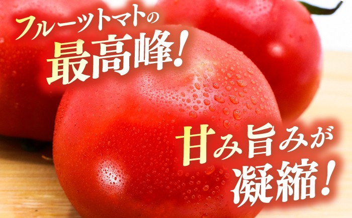 濃厚！徳谷トマト約4.0kg 箱詰 | 生産者指定なし 厳選上級品 元木青果 〈2025年1月～発送〉  [ATAC324]