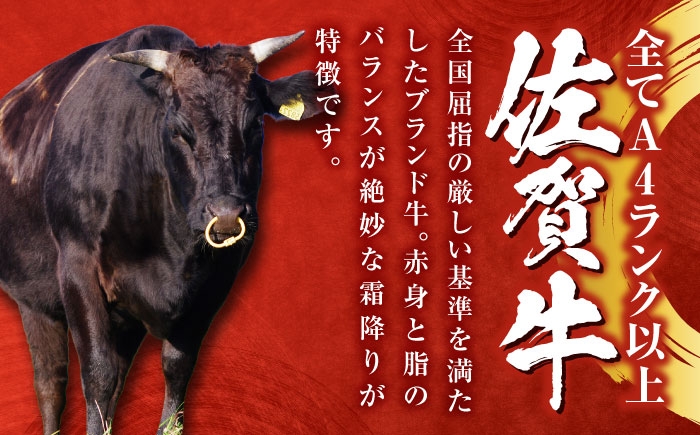 佐賀牛 ヒレ肉 ステーキ 部位 希少部位 贈答用 佐賀牛ヒレ