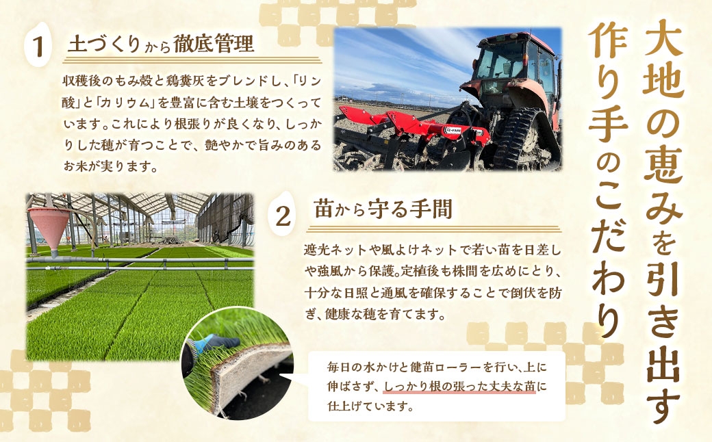 静岡県産コシヒカリ精米10kg（5kg×2袋）