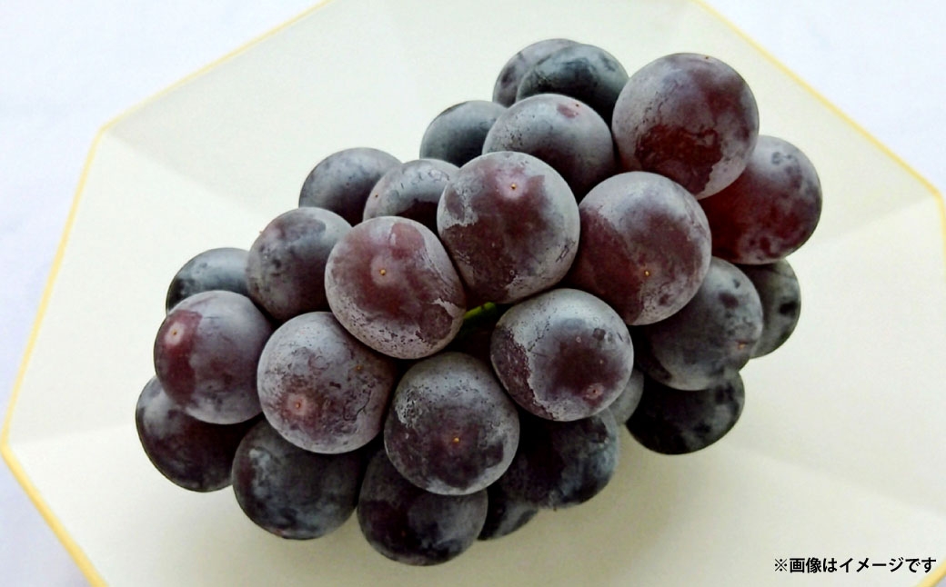 岡山県産ニューピオーネ 約2kg（3～6房）