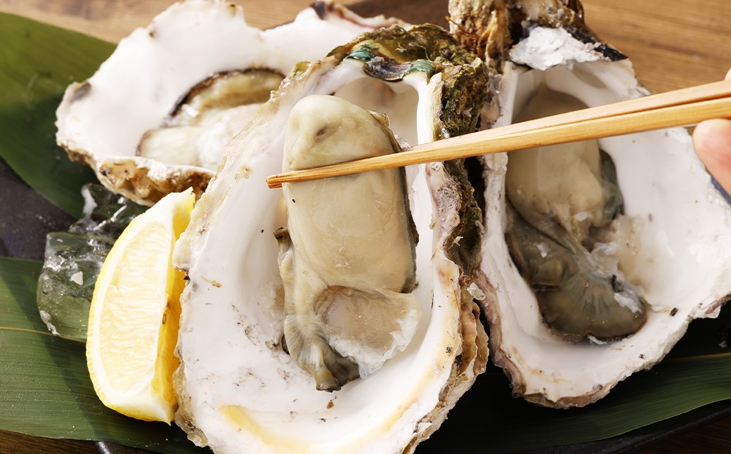 【指定日時必須】戸石産 岩牡蠣 計約3kg（生食用／カキナイフ付き）