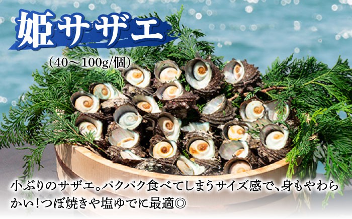 人気 魚介 ごはんのお供 朝食 昼食 夕食 夜食 セット 朝食 昼食 夕食