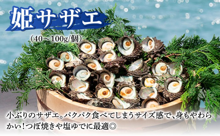 人気 魚介 ごはんのお供 朝食 昼食 夕食 夜食 セット 朝食 昼食 夕食