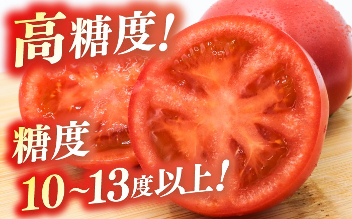 濃厚！徳谷トマト約4.0kg 箱詰 | 生産者指定なし 厳選上級品 元木青果 〈2025年1月～発送〉  [ATAC324]