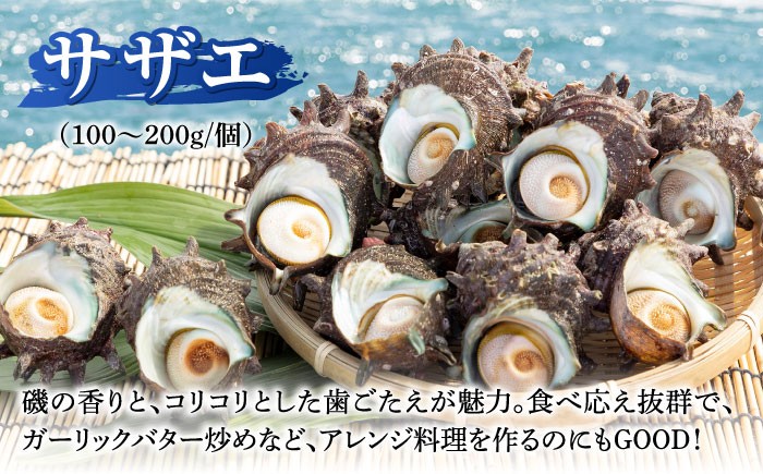 人気 魚介 ごはんのお供 朝食 昼食 夕食 夜食 セット 朝食 昼食 夕食