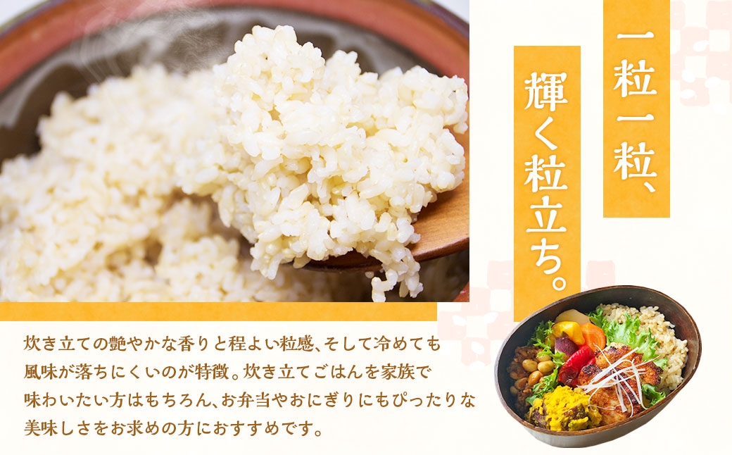 静岡県産コシヒカリ玄米5kg×1袋