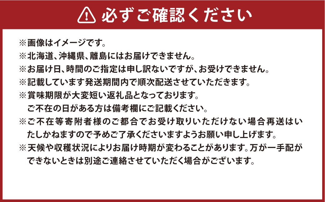 岡山県産ニューピオーネ 約2kg（3～6房）
