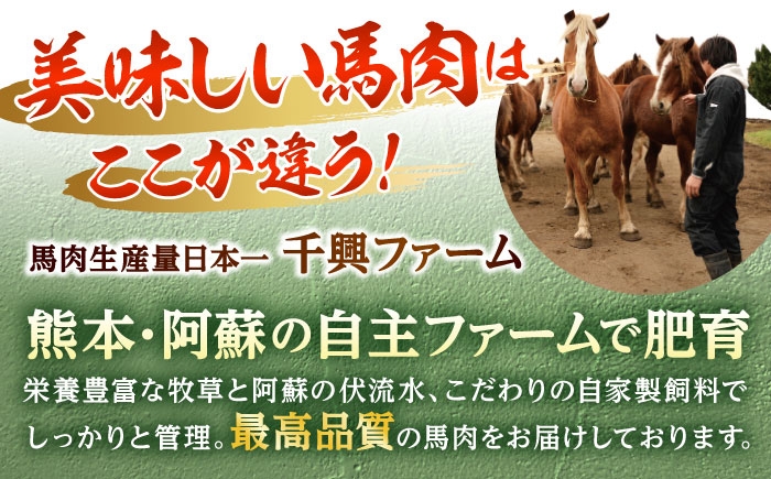熊本 馬刺し 心臓(ハツ)切り落とし 約500g（約100g×5P)