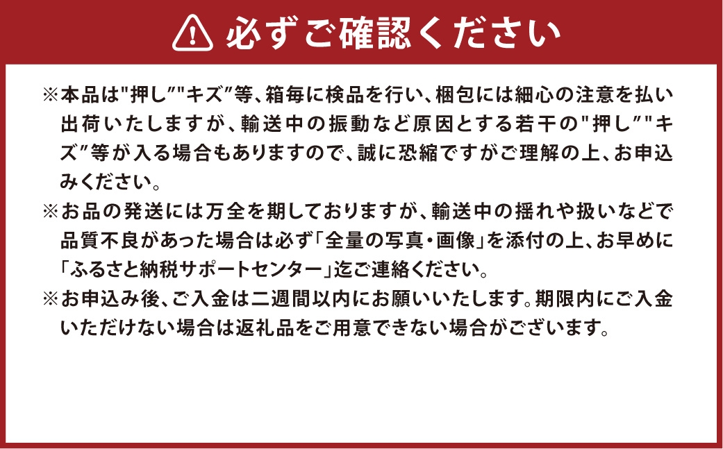 岡山県産ニューピオーネ 約500g×2房 計約1kg