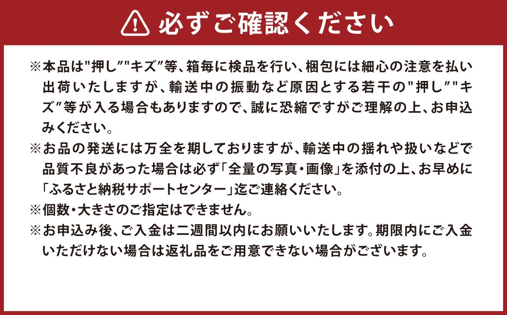 岡山県産ニューピオーネ 約2kg（3～6房）