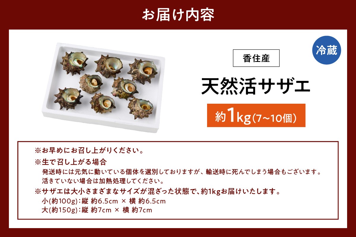 お届けイメージ