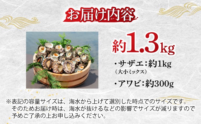 人気 魚介 ごはんのお供 朝食 昼食 夕食 夜食 セット 朝食 昼食 夕食