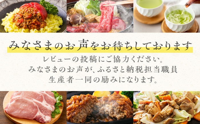 高級銘茶 高級銘柄 お茶 6回 定期便 白川茶 ペットボトル お茶ペットボトル ケース 24 緑茶 まとめ買い 災害 備蓄 防災
