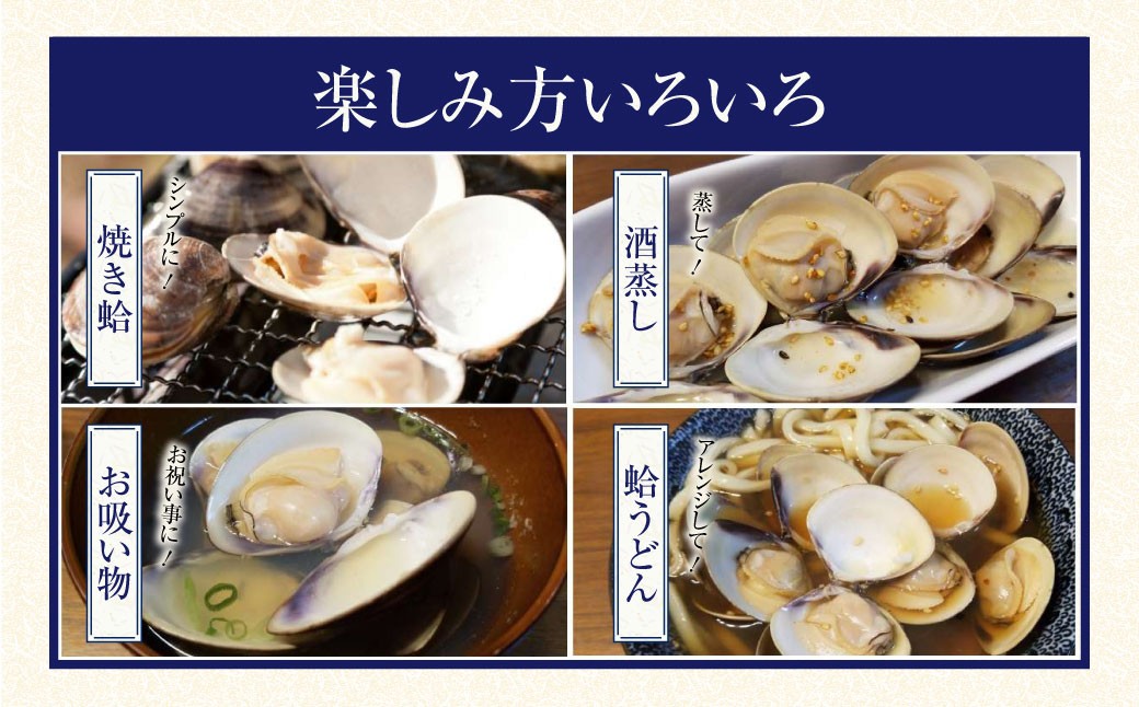 マルヨシ水産　桑名産中粒天然蛤　1kg_はまぐり