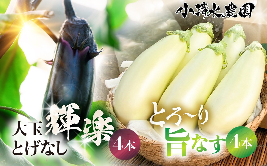 甘味が強くツヤハリの良いとげなし輝楽と、とろ～り甘い。純白のなすのセット