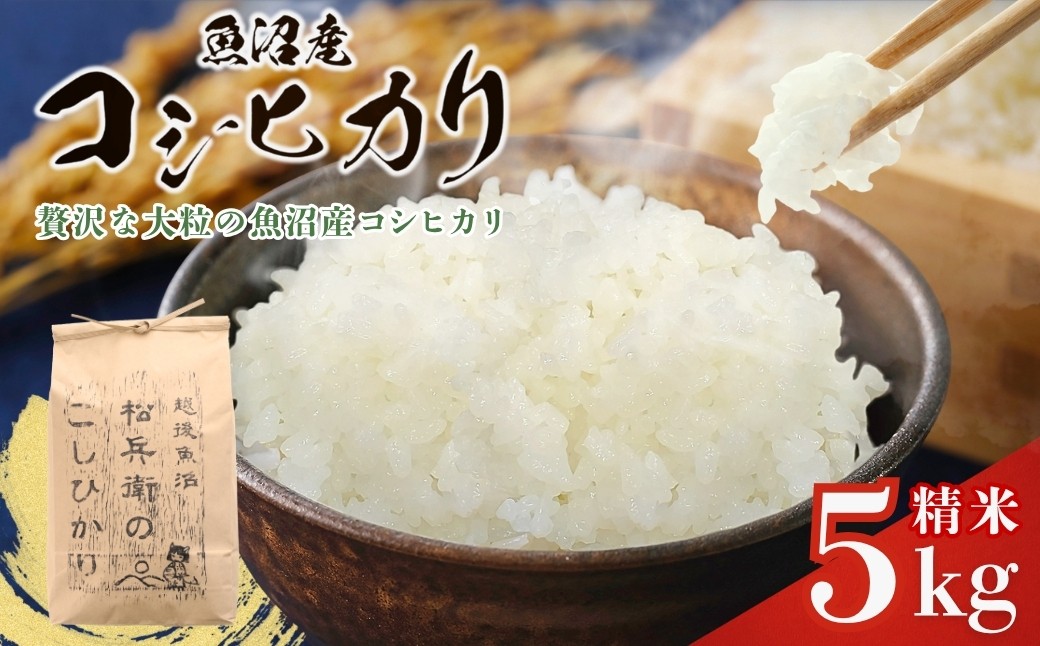 魚沼産ブランドの規定よりも贅沢で大粒をよりすぐり 山口松兵衛農園のコシヒカリ