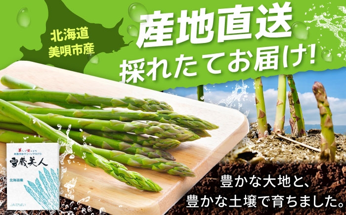 アスパラ グリーンアスパラ アスパラガス 北海道 春野菜 あすぱら あすぱらがす 野菜 季節の野菜 北海道産 道産 冷蔵