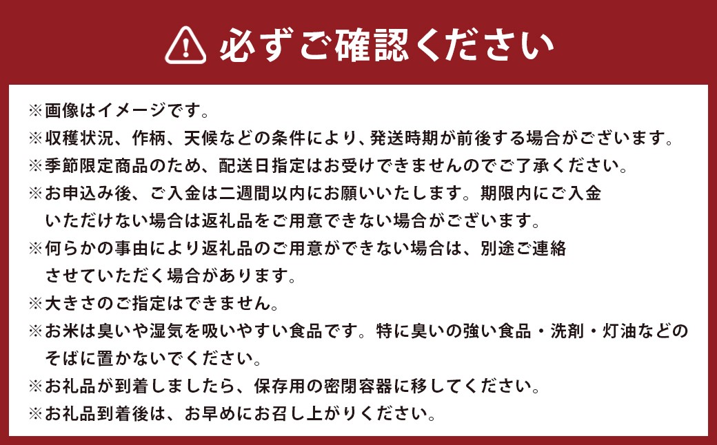 舌崎りんご サンふじ・シナノゴールド＆令和8年産 いわてっこ 5kg 精米セット