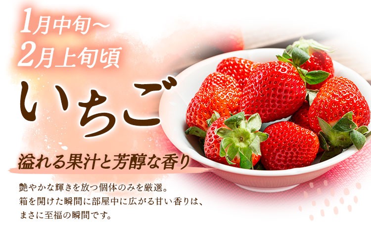 エミューの卵 350gから550g(1玉)