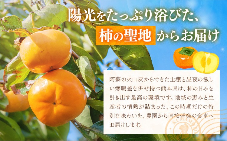 【2023年10月上旬より順次発送予定】富有柿 約5kg(3L～Ｍサイズ)