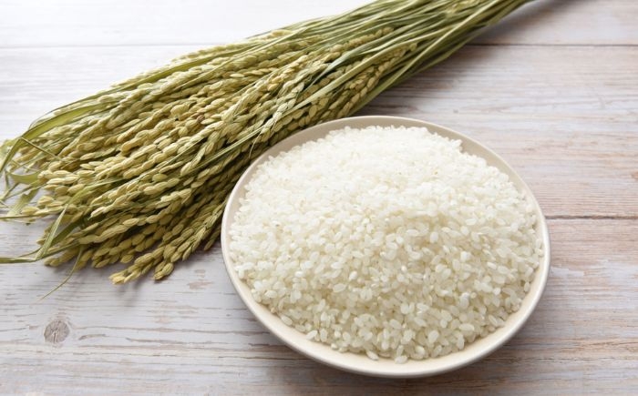 米 お米 白米 ブランド米 ごはん kome rice 10キロ 5kg 小分け