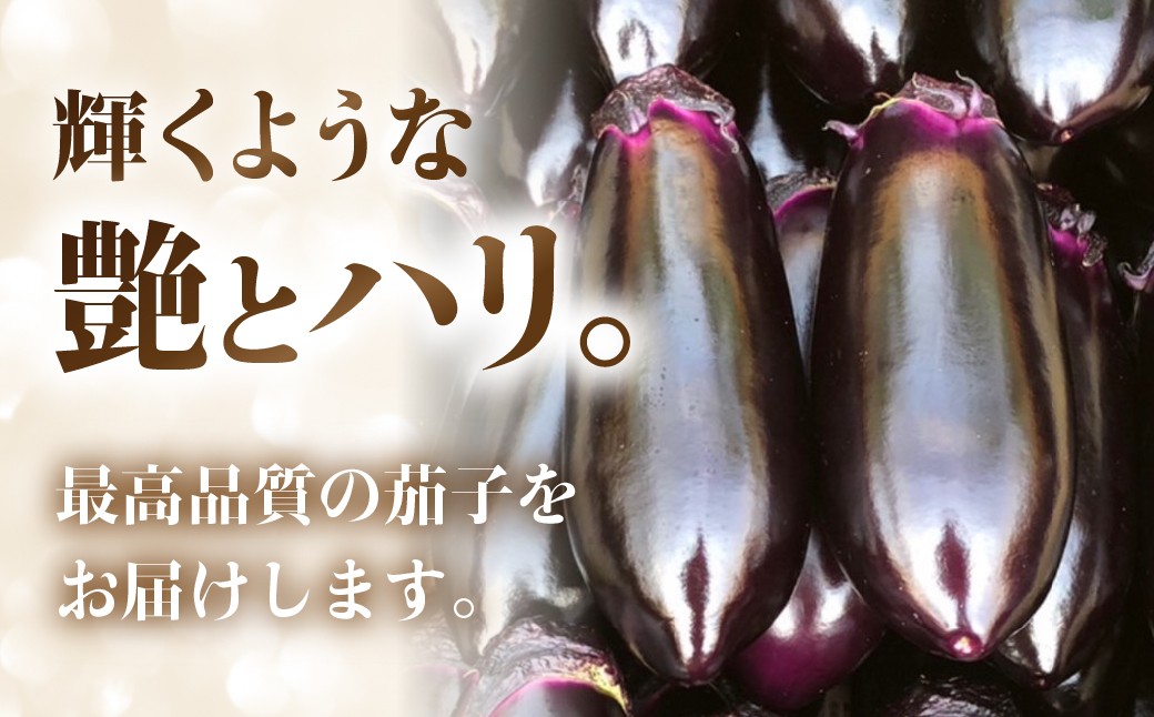 甘味が強くツヤハリの良いとげなし輝楽と、とろ～り甘い。純白のなすのセット